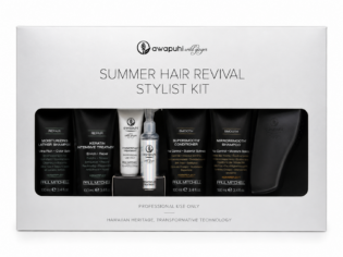 PM Awapuhi Wild Ginger – Summer Hair Revival Stylist Kit