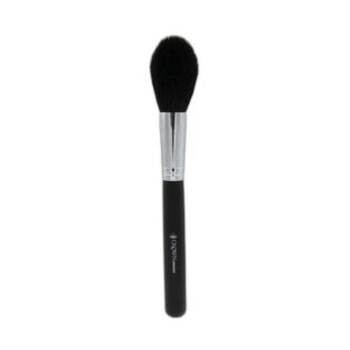 Pro Precision Pointed Powder Brush C320