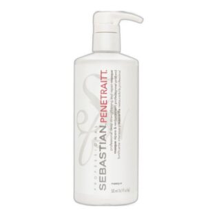 Sebastian penetraitt masque