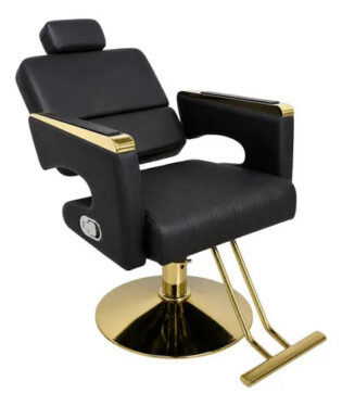 JF-BC3 Reclinable
