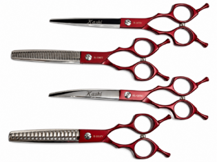 Set 4 Tijeras R-1070 / BL-1070C / R-1040T / R-1018V